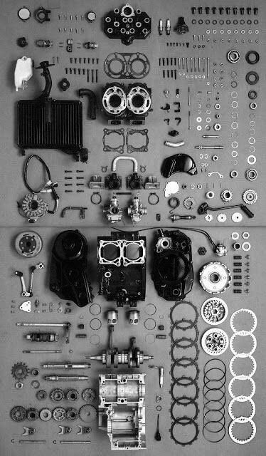 Mechanic repairing bike
